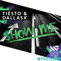 Tiesto & DallasK - Show Me (Original Mix)