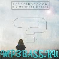 Нигатив (Триада) - Вопросы (feat. Freez)