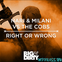 Nari & Milani vs The Cobs - Right Or Wrong (Original Mix)