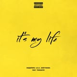 Эндшпиль - It's My Life (feat. TumaniYO)