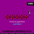 Chico & Qatoshi - Ластівки (DJ Darling & Butesha Remix)