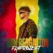 Fly Project - Don Reggaeton