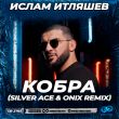 Ислам Итляшев - Кобра (Silver Ace & Onix Remix)