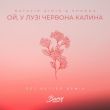 Natalie Gioia & Shkoda - Ой, У Лузі Червона Калина (Get Better Remix)