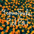 Pidpal - Чорнобривці