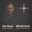 Da Hool & WildChild - Meet Master (Kolya Funk Remix)