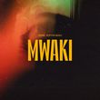 Zerb - Mwaki (feat. Sofiya Nzau)