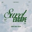 Danny Chris - Sweet Escape (feat. Sbstn)