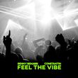 Benny Benassi - Feel The Vibe (feat. Constantin)