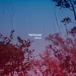 Triticum - Wrong