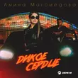 Амина Магомедова - Дикое Сердце