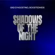 Gigi D'Agostino & Boostedkids - Shadows Of The Night (Gigi Dag Mix)