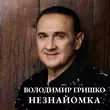 Володимир Гришко - Незнайомка