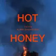 Tiësto - Hot Honey (feat. Alana Springsteen)