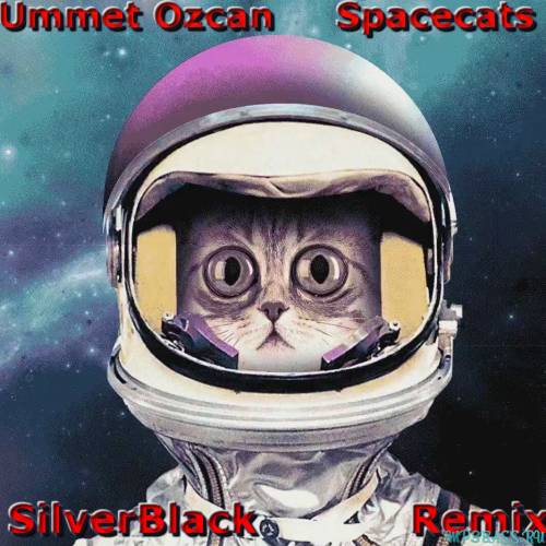 Ummet Ozcan - Spacecats (SilverBlack Remix)