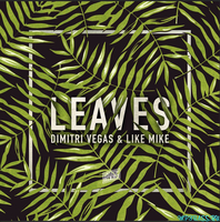 Dimitri Vegas & Like Mike - Leaves (Original Mix)